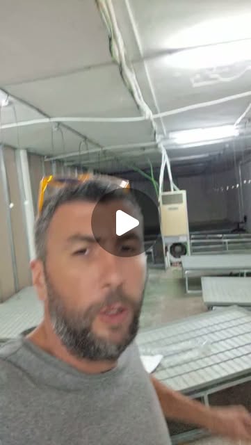 Instagram · Plantación